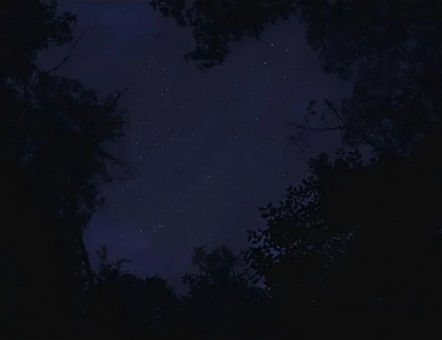 The Nightingale online