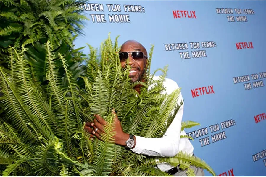 Between Two Ferns: The Movie online