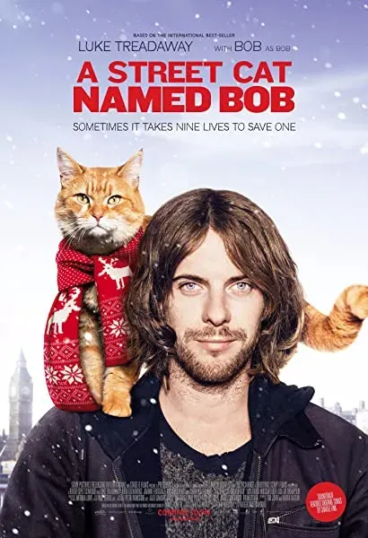 Kot Bob i ja