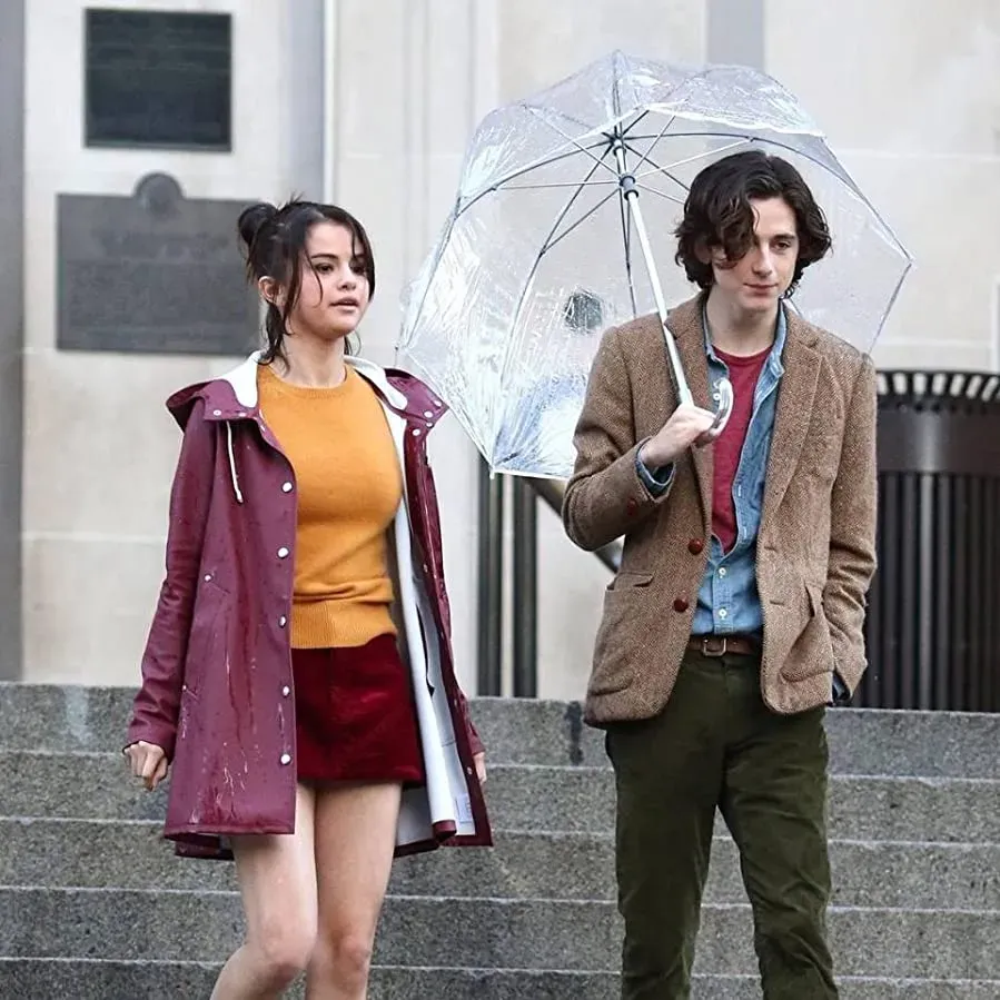 A Rainy Day in New York online