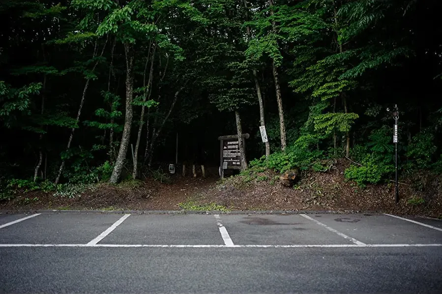 The Forest online