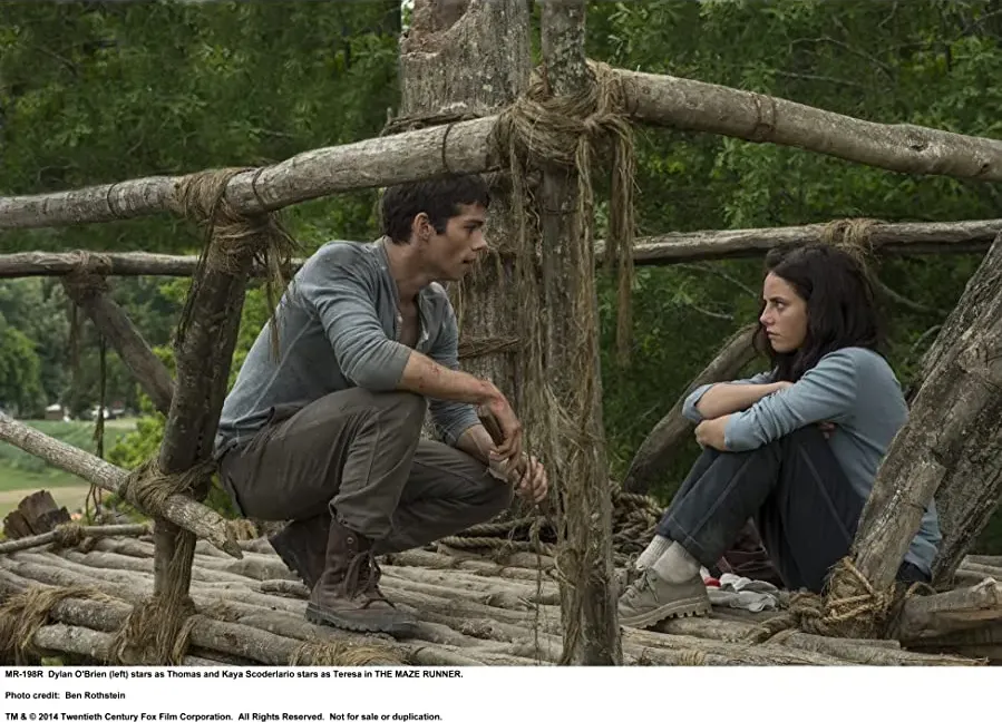 The Maze Runner online