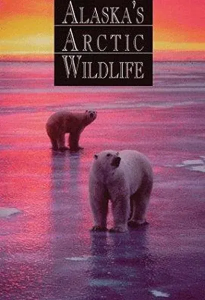 Alaska's Arctic Wildlife