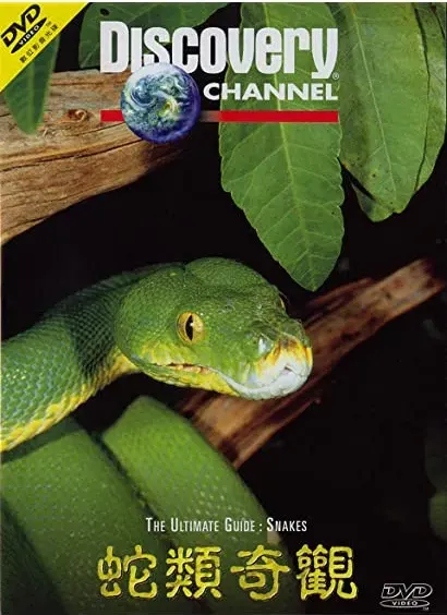 The Ultimate Guide: Snakes
