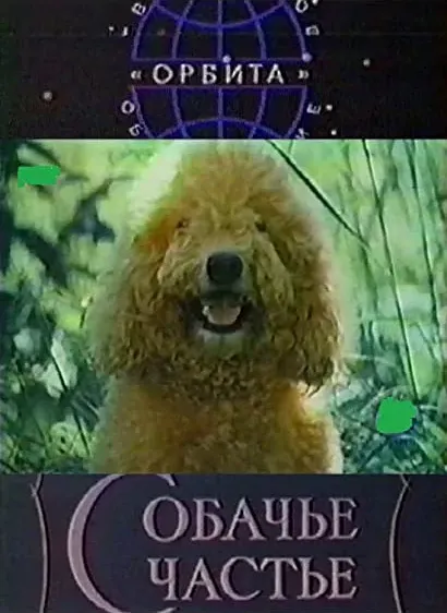Sobachye shchastye