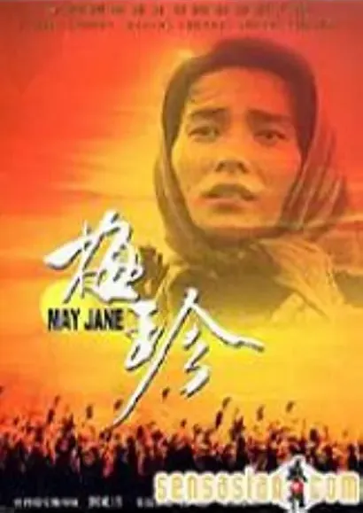 Mei zhen