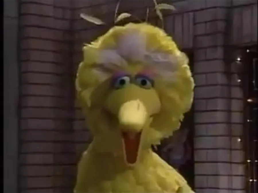 Sesame Street Stays Up Late! online