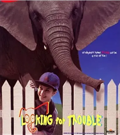Looking for Trouble