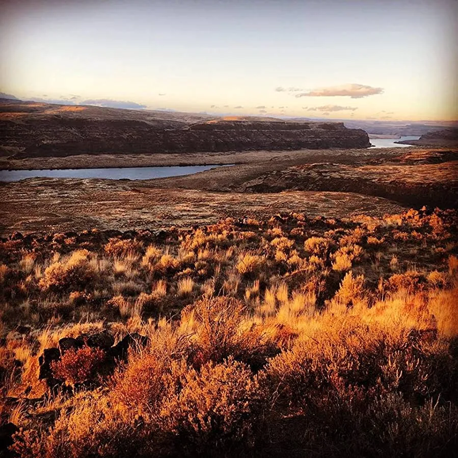 East of the Mountains online