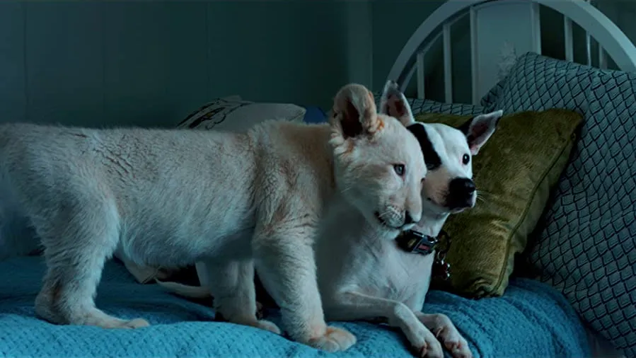 Lena and Snowball online