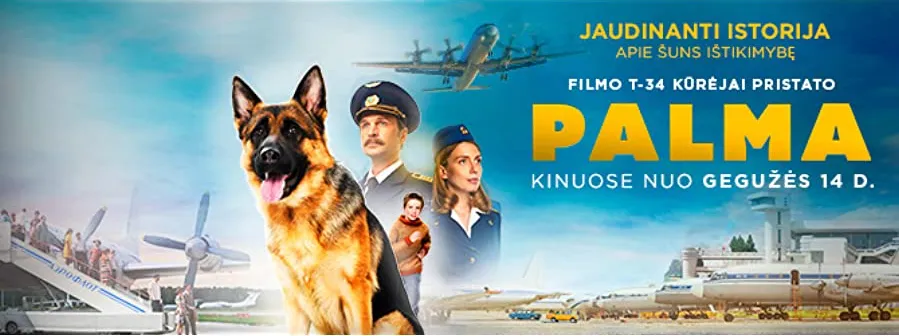 Palma online