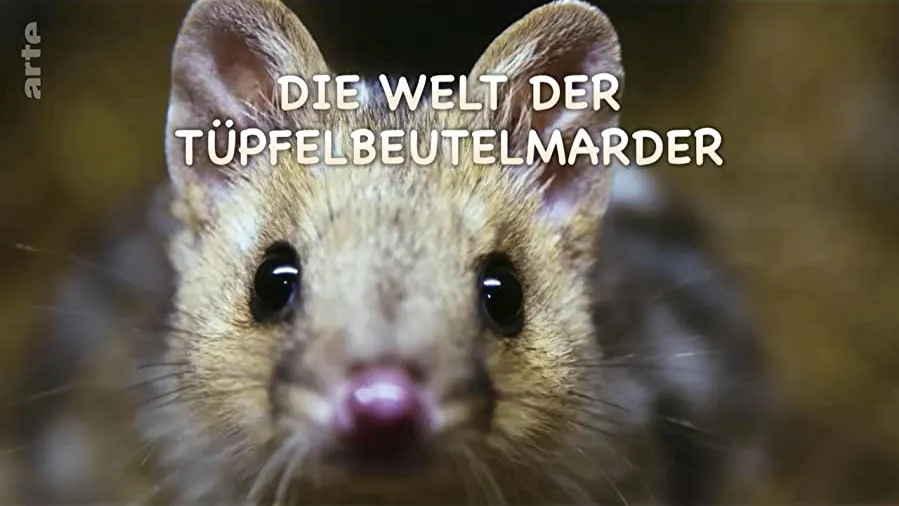 Quoll Farm online