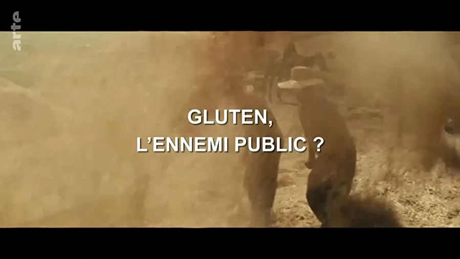 Gluten, l'ennemi public? online