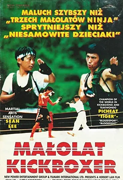 Little Kickboxer