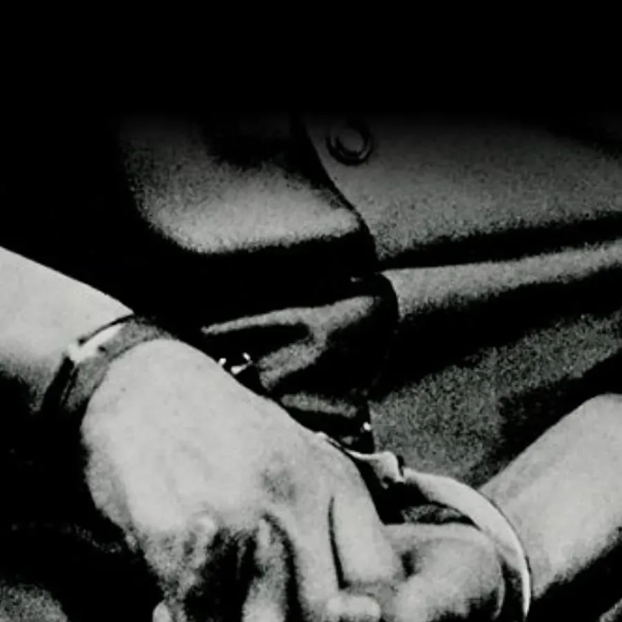 Through the Wire online