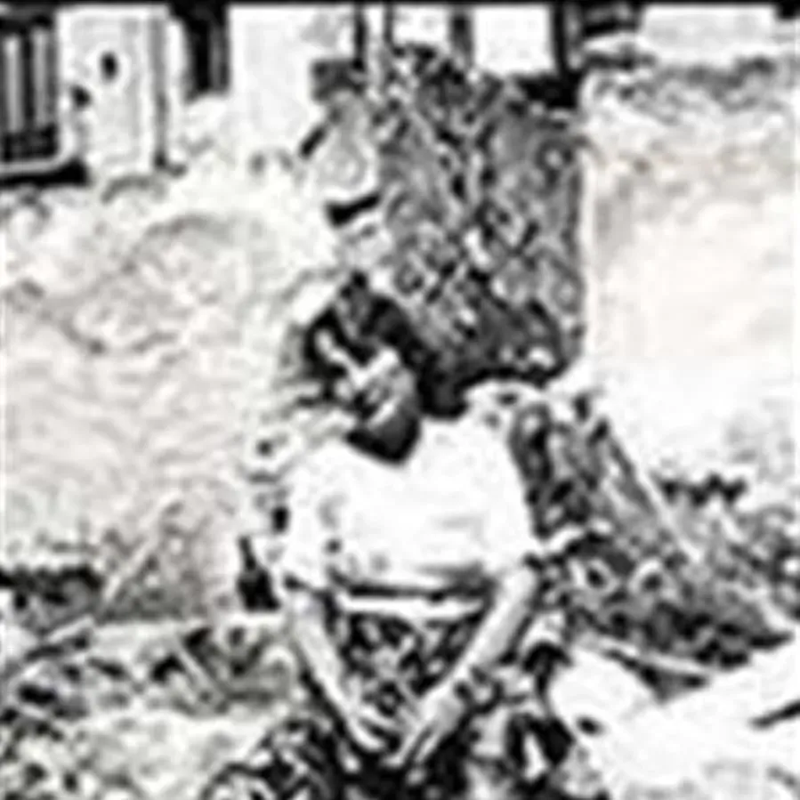Children of Fate: Life and Death in a Sicilian Family online