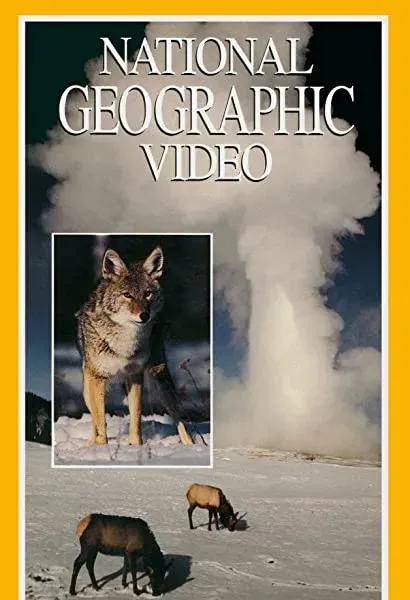 Yellowstone: Realm of the Coyote