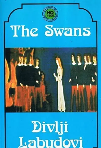 Swans