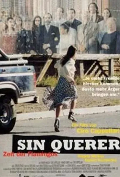 Sin querer