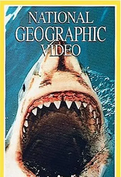 Hunt for the Great White Shark