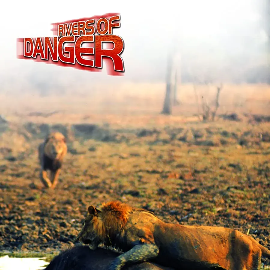 Rivers of Danger online