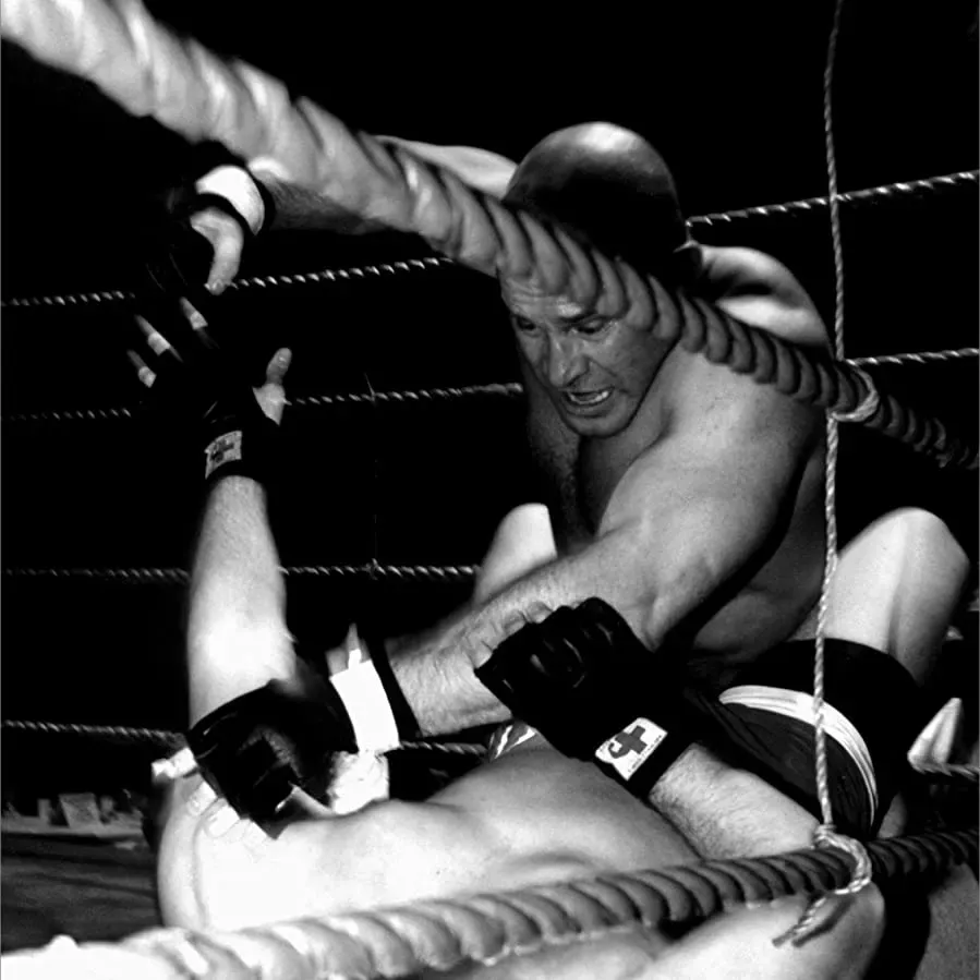 Portrait of a Fighter online