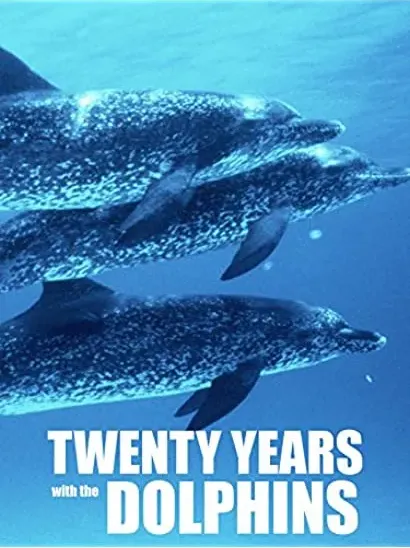 Twenty Years with the Dolphins