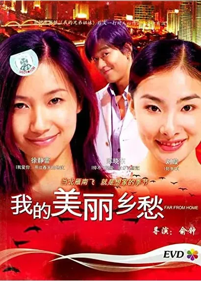 Wo de mei li xiang chou