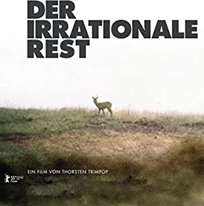 Der irrationale Rest