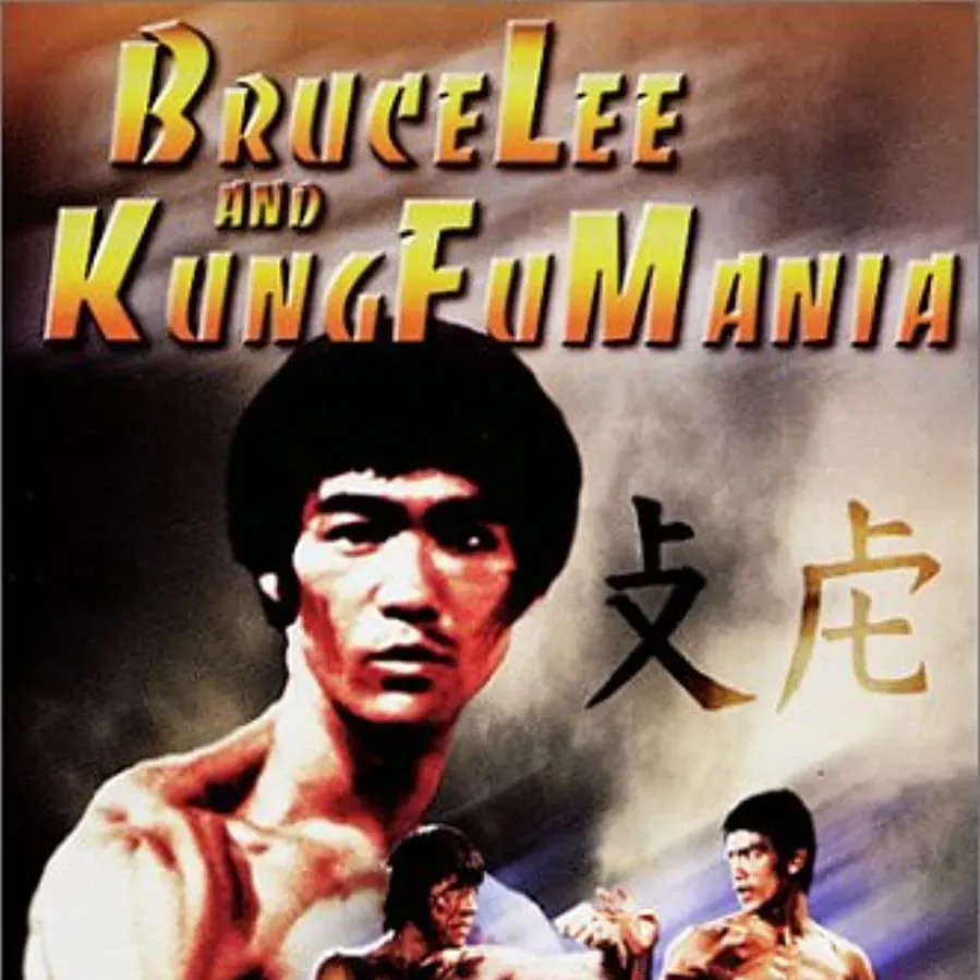 Bruce Lee and Kung Fu Mania online
