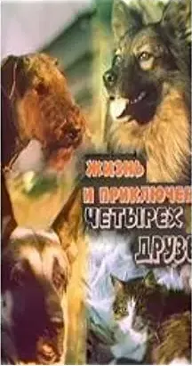 Zhizn i priklyucheniya chetyrekh druzei 5. Kot Semafor 6. Neznakomtsy
