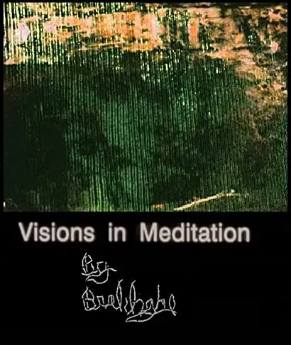 Visions in Meditation