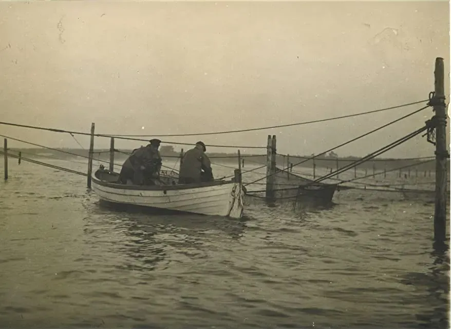 The Danish Solution: The Rescue of the Jews in Denmark online