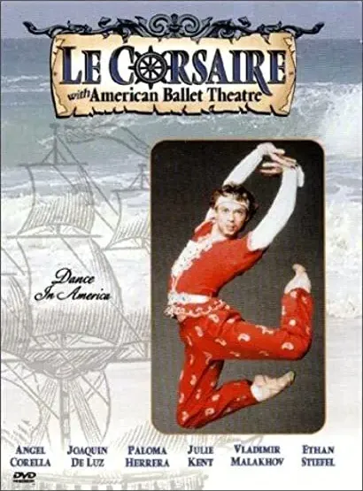 Le corsaire