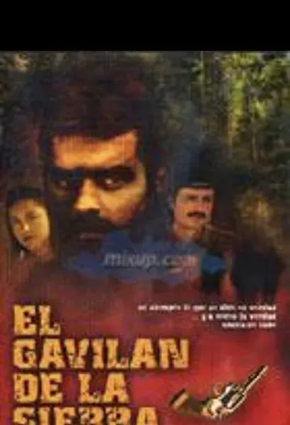 El gavilán de la sierra