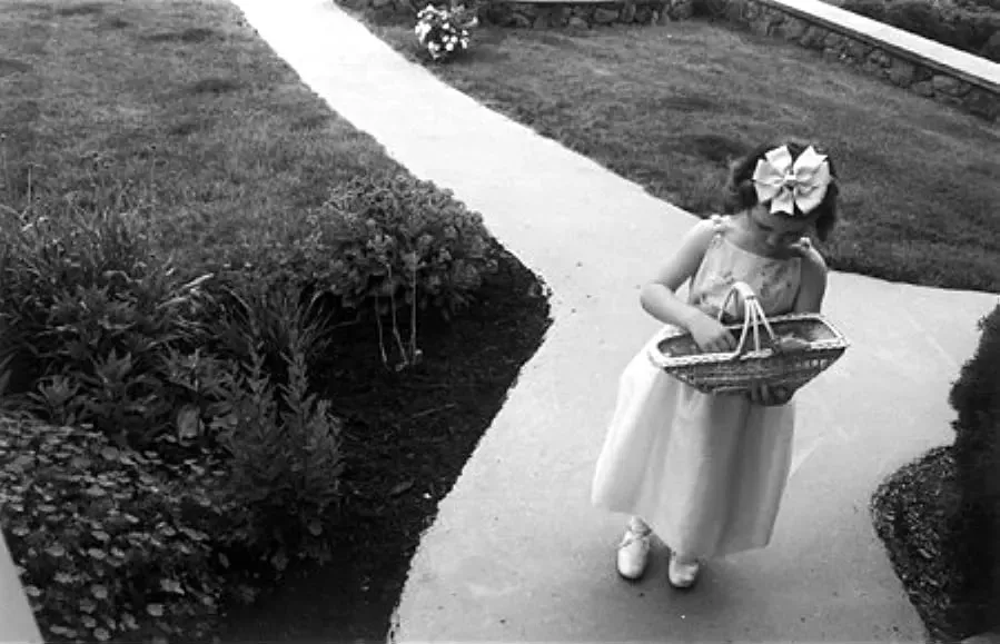 Wedding Advice: Speak Now or Forever Hold Your Peace online
