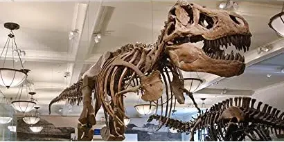 T-Rex: A Dinosaur in Hollywood