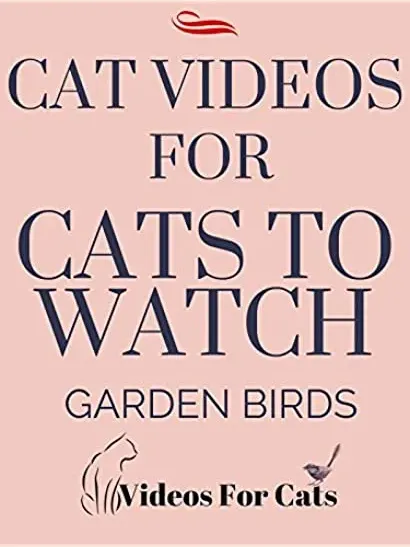 Like Cats and Dogs