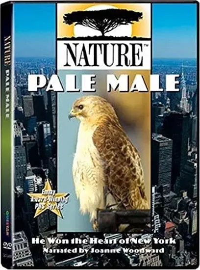 Pale Male