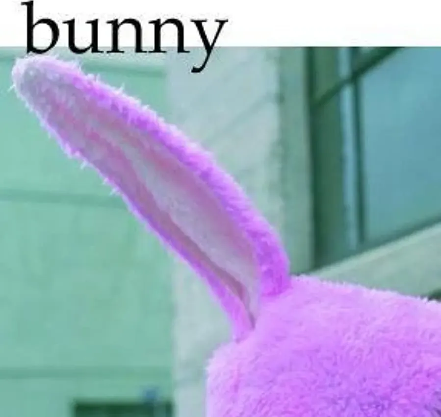 Bunny online