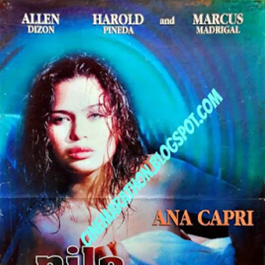 Pila-Balde online