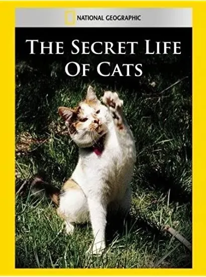 The Secret Life of Cats