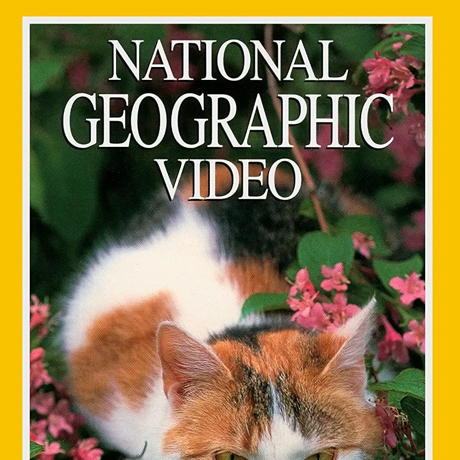 The Secret Life of Cats online