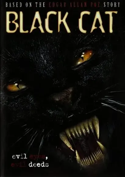 Black Cat
