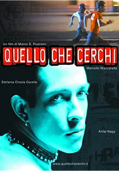 Quello che cerchi