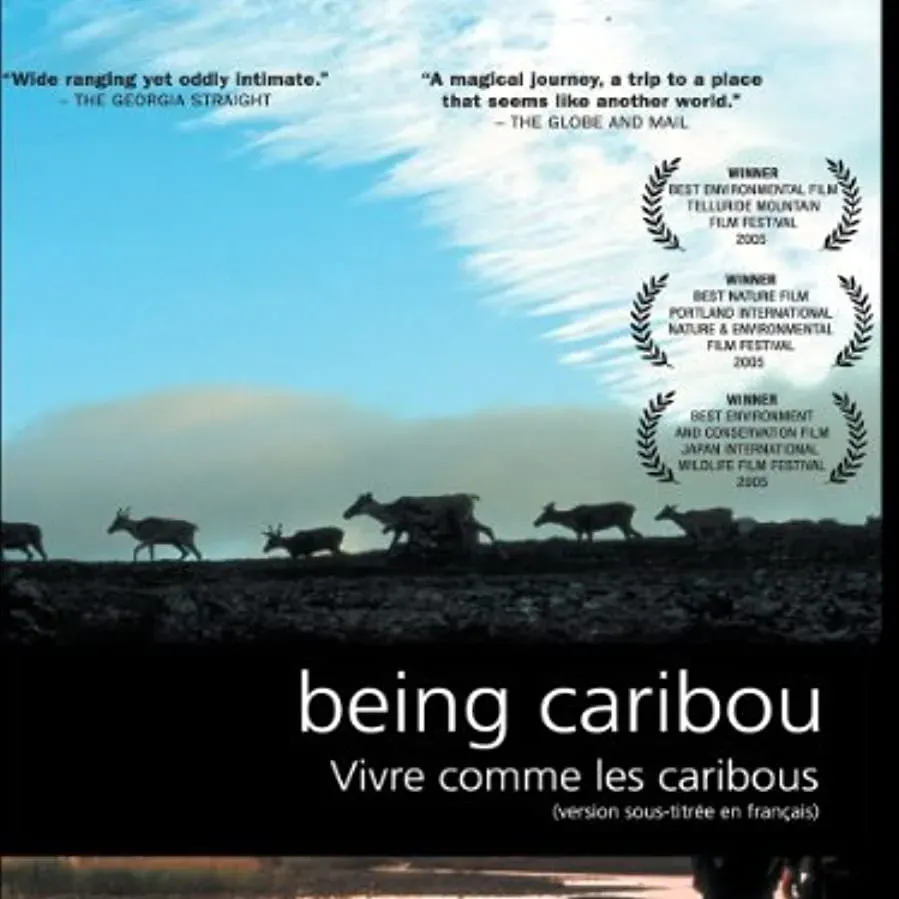 Being Caribou online