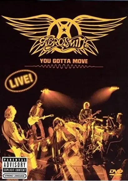 Aerosmith: You Gotta Move