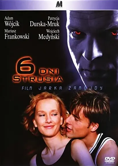 6 dni strusia