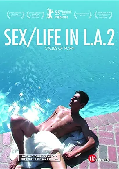 Cycles of Porn: Sex online