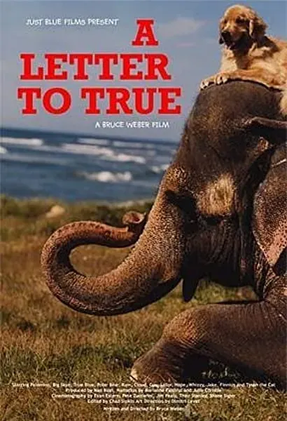 A Letter to True